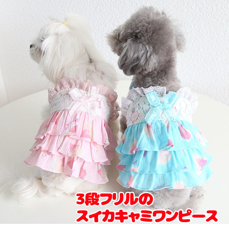 【犬服 犬 服 夏 犬の服 春服用】3段フリルのスイカキャミワンピース【ドッグウェア レース パステル リボン ペット ダックス トイプードル チワワ タムベディかわいい ポメラニアン】[CN]