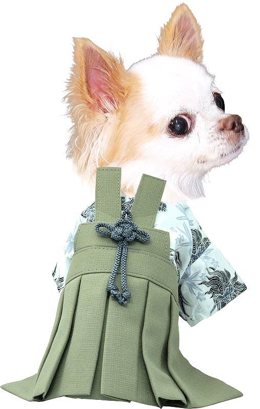 【犬 着物 犬の服】男振り袴(はかま)朱雀《名入れ可能》【男の子 ドッグウェア ペット 正月 七五三 ダックス トイプードル チワワ タムベディ かっこいい パグ 着せやすい】[GI]