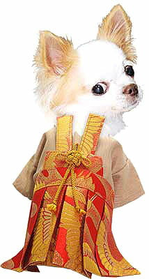 【犬 着物 犬の服】男振り袴(はかま)翔鶴《名入れ可能》【男の子 ドッグウェア ペット 正月 七五三 ダックス トイプードル チワワ タムベディ かっこいい シーズー 着せやすい】[GI]