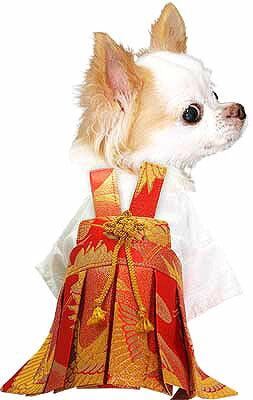 【犬 着物 犬の服】男振り袴(はかま)翔鶴《名入れ可能》【男の子 ドッグウェア ペット 正月 七五三 ダックス トイプードル チワワ タムベディ かっこいい シーズー 着せやすい】[GI]