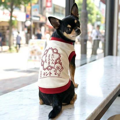 【犬服 犬 服 犬の服 名入れ 春秋服 冬服用】愛犬のお名前入り たいへんよくできました【はんこ 印鑑 学校 ドッグ ペット ウェア トイプードル チワワ タムベディ ポメラニアン】(O/3/RI/H/)