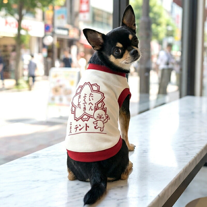【犬服 犬 服 犬の服 名入れ 春秋服 冬服用】愛犬のお名前入り たいへんよくできました 中型犬用【はんこ 印鑑 学校 ドッグ ペット ウェア トイプードル チワワ タムベディ ポメラニアン】(O/3/RI/H/)