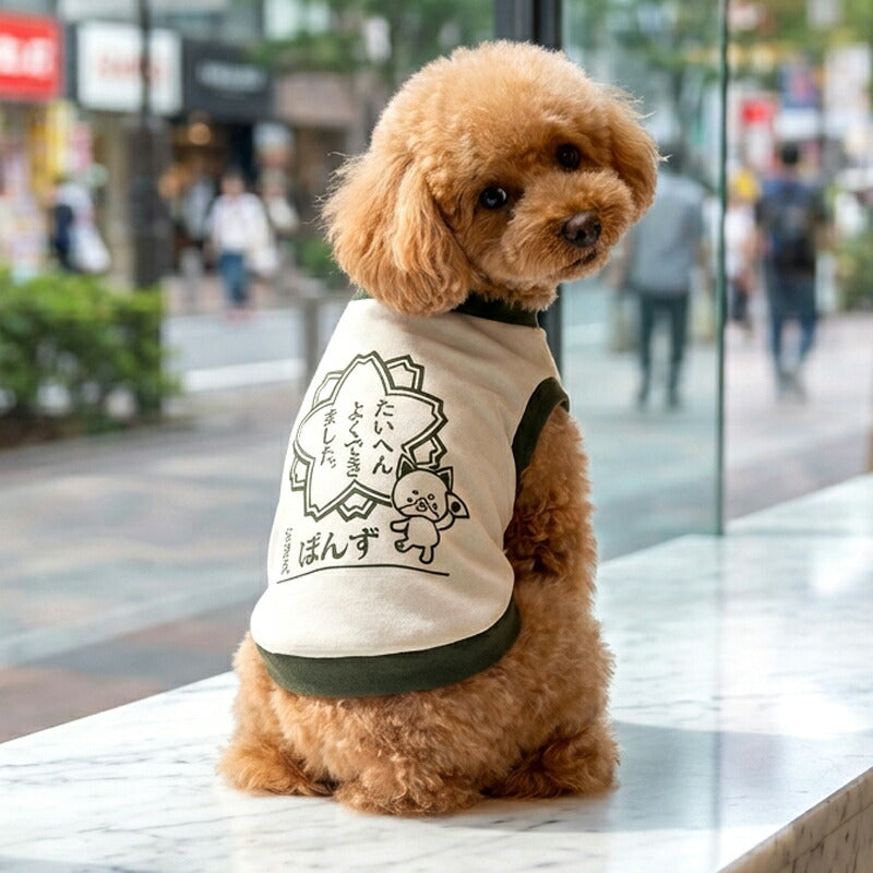 【犬服 犬 服 犬の服 名入れ 春秋服 冬服用】愛犬のお名前入り たいへんよくできました【はんこ 印鑑 学校 ドッグ ペット ウェア トイプードル チワワ タムベディ ポメラニアン】(O/3/RI/H/)