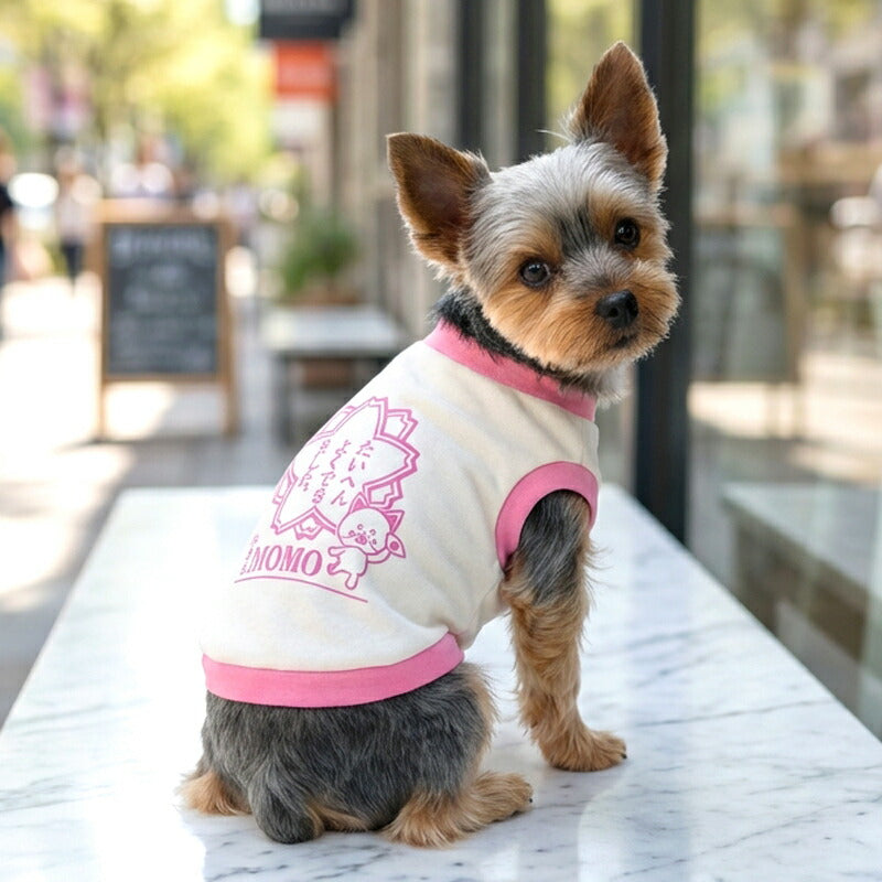 【犬服 犬 服 犬の服 名入れ 春秋服 冬服用】愛犬のお名前入り たいへんよくできました 中型犬用【はんこ 印鑑 学校 ドッグ ペット ウェア トイプードル チワワ タムベディ ポメラニアン】(O/3/RI/H/)