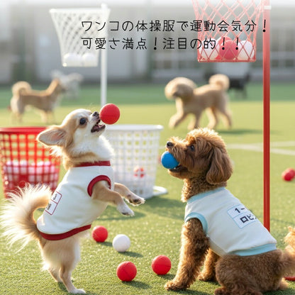 【犬服 犬 服 犬の服 秋服 冬服用 名入れ】愛犬のお名前入り 元気いっぱい体操服和柄【ドッグウェア 和柄 ダックス トイプードル チワワ おもしろ パグ タムベディ】(O/3/RI/H/)