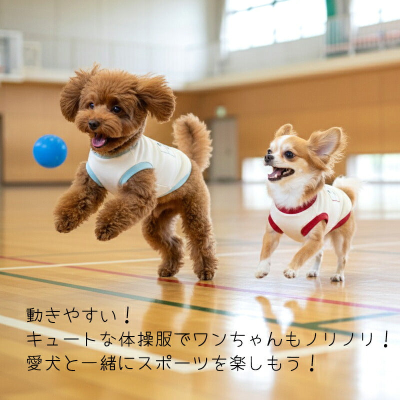 【犬服 犬 服 犬の服 秋服 冬服用 名入れ】愛犬のお名前入り 元気いっぱい体操服和柄【ドッグウェア 和柄 ダックス トイプードル チワワ おもしろ パグ タムベディ】(O/3/RI/H/)
