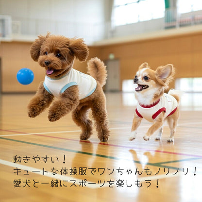 【犬服 犬 服 犬の服 秋服 冬服用 名入れ】愛犬のお名前入り 元気いっぱい体操服和柄【ドッグウェア 和柄 ダックス トイプードル チワワ おもしろ パグ タムベディ】(O/3/RI/H/)
