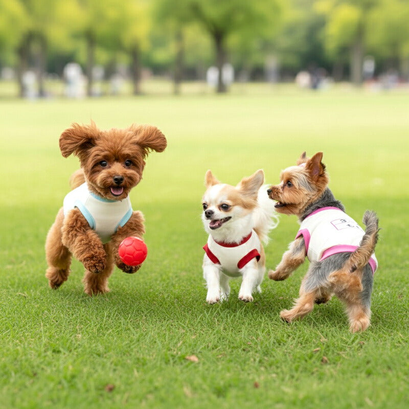 【犬服 犬 服 犬の服 秋服 冬服用 名入れ】愛犬のお名前入り 元気いっぱい体操服和柄【ドッグウェア 和柄 ダックス トイプードル チワワ おもしろ パグ タムベディ】(O/3/RI/H/)