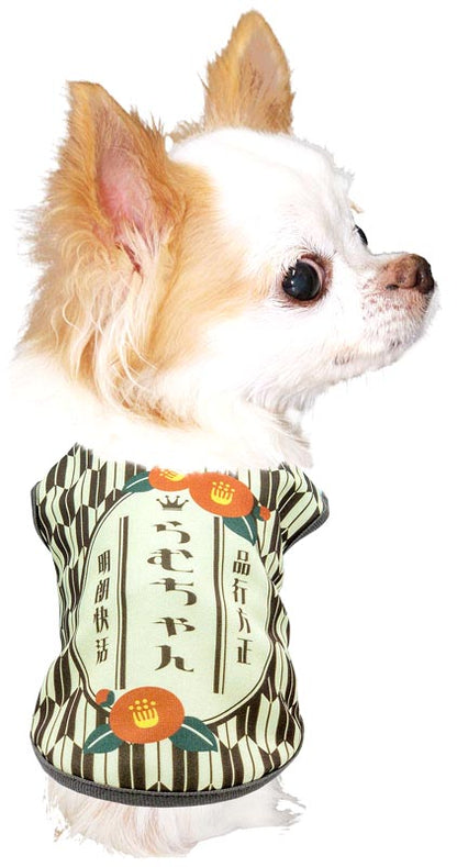 【犬服 犬 服 犬の服 名入れ 秋服 冬服用】愛犬のお名前入り 大正ロマン【レトロ モダン 和柄 和風ドッグ ペット ウェア アウトレット ダックス トイプードル チワワ タムベディ パピヨン】(S/3/N/H/)