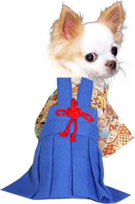 【犬 着物 犬の服】男振り袴(はかま)たくみ《名入れ可能》【男の子 ドッグウェア ペット 正月 七五三 ダックス トイプードル チワワ タムベディ かっこいい パピヨン タムベディ 着せやすい】