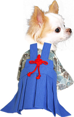 【犬 着物 犬の服】男振り袴(はかま)たくみ《名入れ可能》【男の子 ドッグウェア ペット 正月 七五三 ダックス トイプードル チワワ タムベディ かっこいい パピヨン タムベディ 着せやすい】