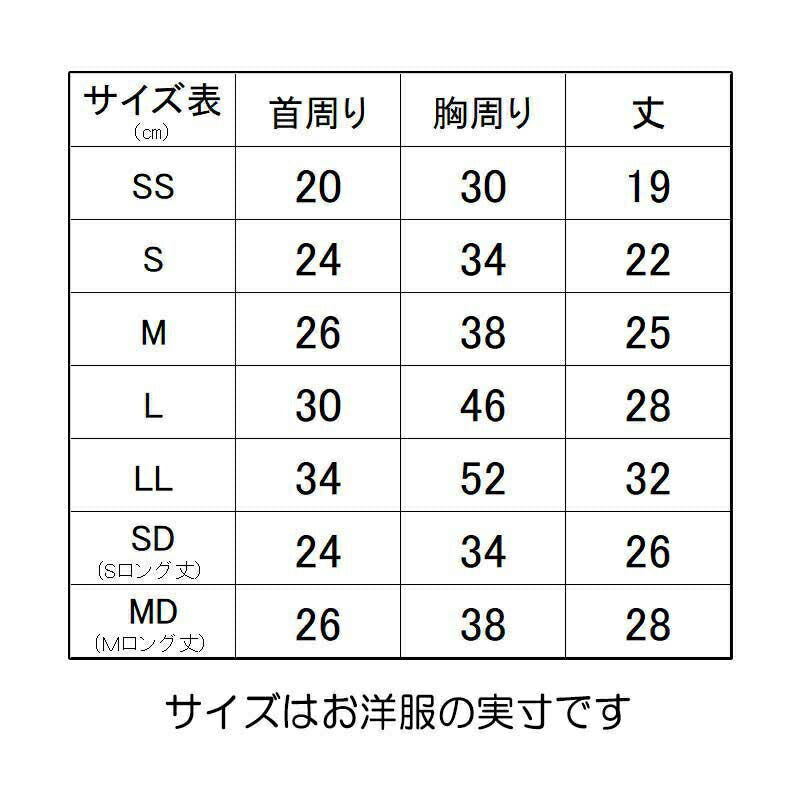 【犬服 犬 服 犬の服 名入れ 秋服 冬服用】愛犬のお名前入り 辰くんシャツ【龍 りゅう 干支 年賀状 お正月 ドッグ ペット ウェア ダックス トイプードル チワワ タムベディ楽しい マルチーズ】(S/3/N/H/)