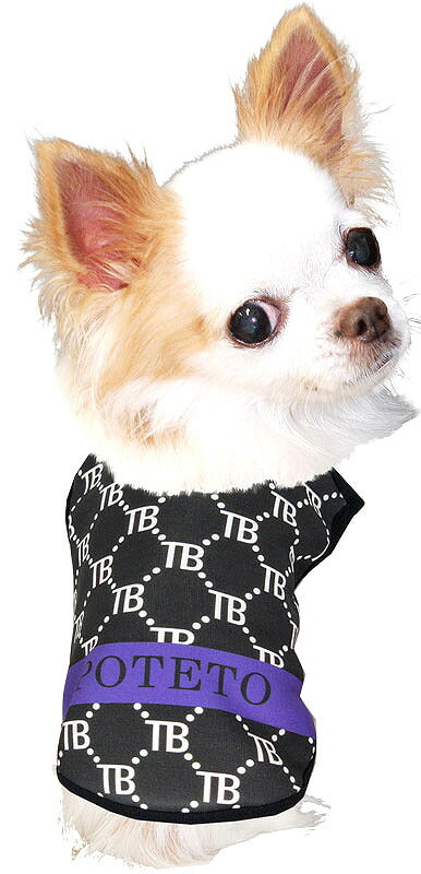【犬服 犬 服 犬の服 名入れ 秋服 冬服用】愛犬のお名前入り TBチェーン【ドッグウェア おしゃれ モノグラム ダックス トイプードル チワワ タムベディおしゃれ ポメラニアン】(S/3/N/H/)