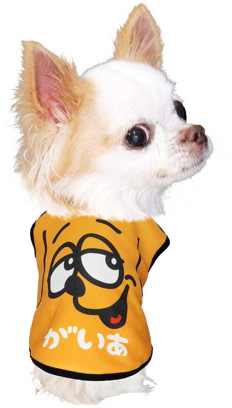 【犬服 犬 服 犬の服 名入れ 秋服 冬服用】愛犬のお名前入り ザフェイス【ドッグウェア アップ 顔 ワンコ カラフル ダックス トイプードル チワワ タムベディ おもしろい】(S/3/N/H/)