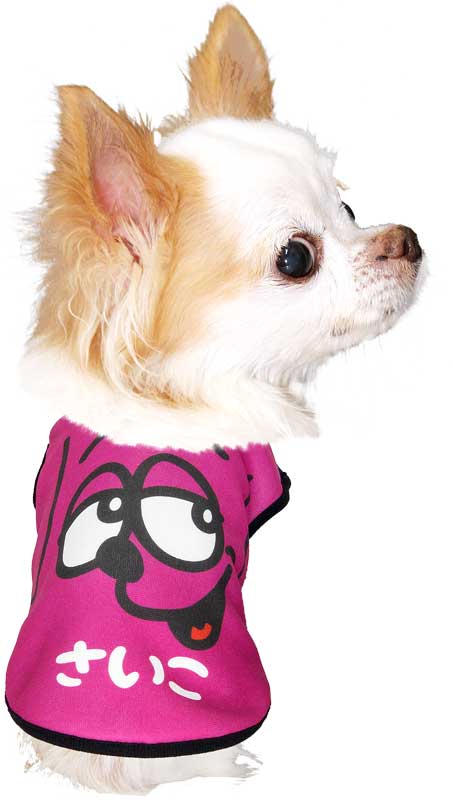 【犬服 犬 服 犬の服 名入れ 秋服 冬服用】愛犬のお名前入り ザフェイス【ドッグウェア アップ 顔 ワンコ カラフル ダックス トイプードル チワワ タムベディ おもしろい】(S/3/N/H/)