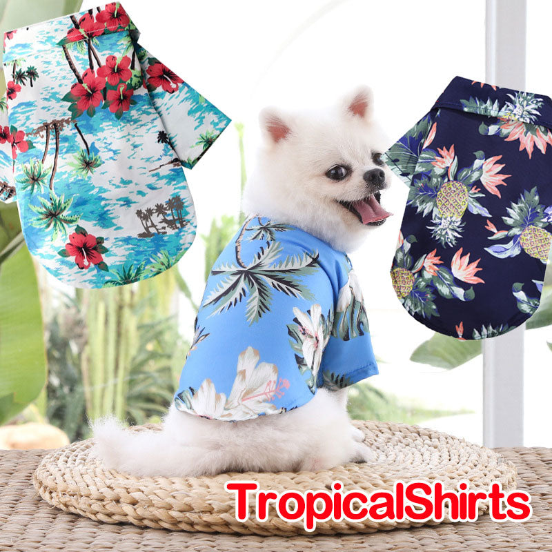 【犬服 犬 服 犬の服 春服 夏服用 】《名入れ可能》トロピカルシャツ【ドッグウェア アロハシャツ ハワイ ヤシの木 ハイビスカス ペット ダックス トイプードル チワワ タムベディ】[CN]