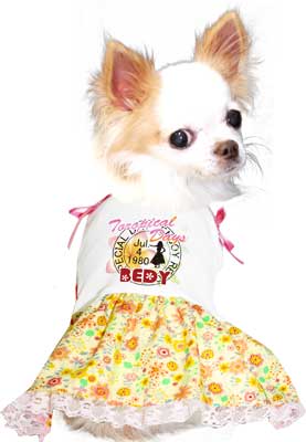 【犬 夏服 犬の服 名入れ 春服用】ひんやり 接触冷感素材 クール 愛犬のお名前入り トロピカルデイズ ワンピース 【ドッグウェア チワワ ダックス トイプードル おしゃれ 柴犬 タムベディ】(H/)[GI]