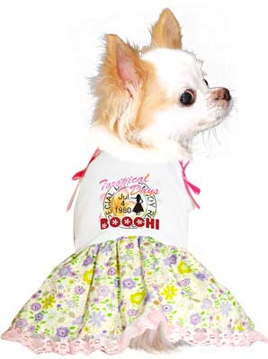 【犬 夏服 犬の服 名入れ 春服用】ひんやり 接触冷感素材 クール 愛犬のお名前入り トロピカルデイズ ワンピース 【ドッグウェア チワワ ダックス トイプードル おしゃれ 柴犬 タムベディ】(H/)[GI]
