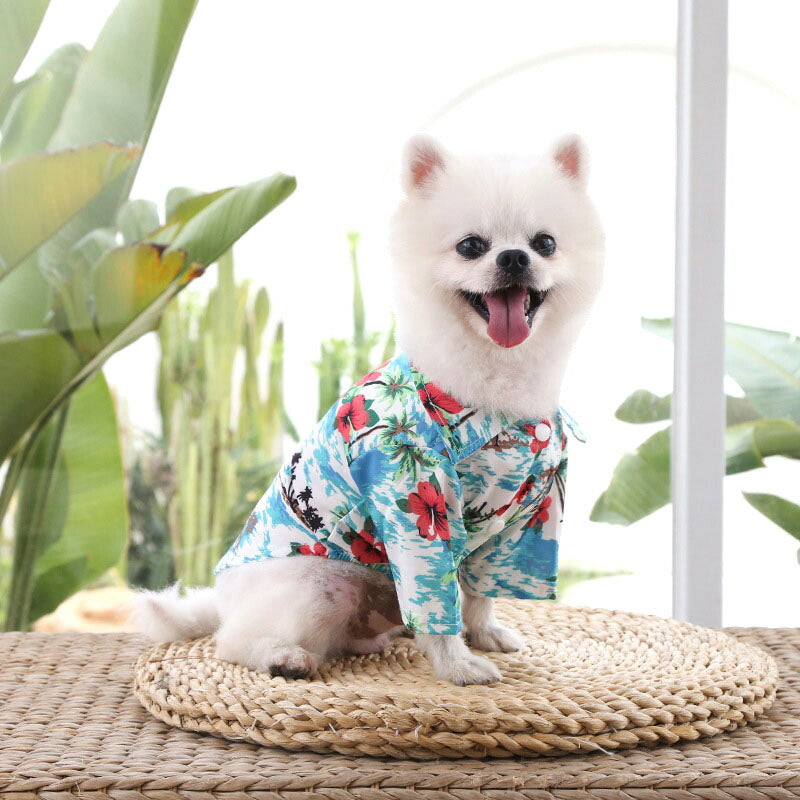【犬服 犬 服 犬の服 春服 夏服用 】《名入れ可能》トロピカルシャツ【ドッグウェア アロハシャツ ハワイ ヤシの木 ハイビスカス ペット ダックス トイプードル チワワ タムベディ】[CN]