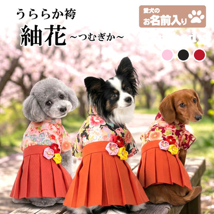 【犬服 犬 服 犬の服 秋服 冬服用】うららか袴 紬花(つむぎか)《名入れ可能》【日本製 着物 和装 お正月 初詣 年賀状 七五三 前開きドッグ ペット ウェア ダックス トイプードル チワワ タムベディ艶やか シーズー セール】