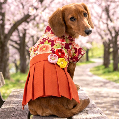 【犬服 犬 服 犬の服 秋服 冬服用】うららか袴 紬花(つむぎか)《名入れ可能》【日本製 着物 和装 お正月 初詣 年賀状 七五三 前開きドッグ ペット ウェア ダックス トイプードル チワワ タムベディ艶やか シーズー セール】