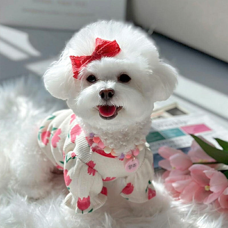【犬服 犬 服 犬の服 春服 夏服用】《名入れ可能》チューリップシャツ【花柄 パフスリーブ 女の子 フリルドッグ ペット ウェア ダックス トイプードル チワワ タムベディ シーズー】[CN]