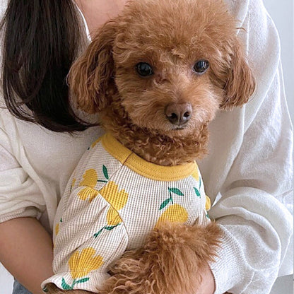 【犬服 犬 服 犬の服 春服 夏服用】《名入れ可能》チューリップシャツ【花柄 パフスリーブ 女の子 フリルドッグ ペット ウェア ダックス トイプードル チワワ タムベディ シーズー】[CN]