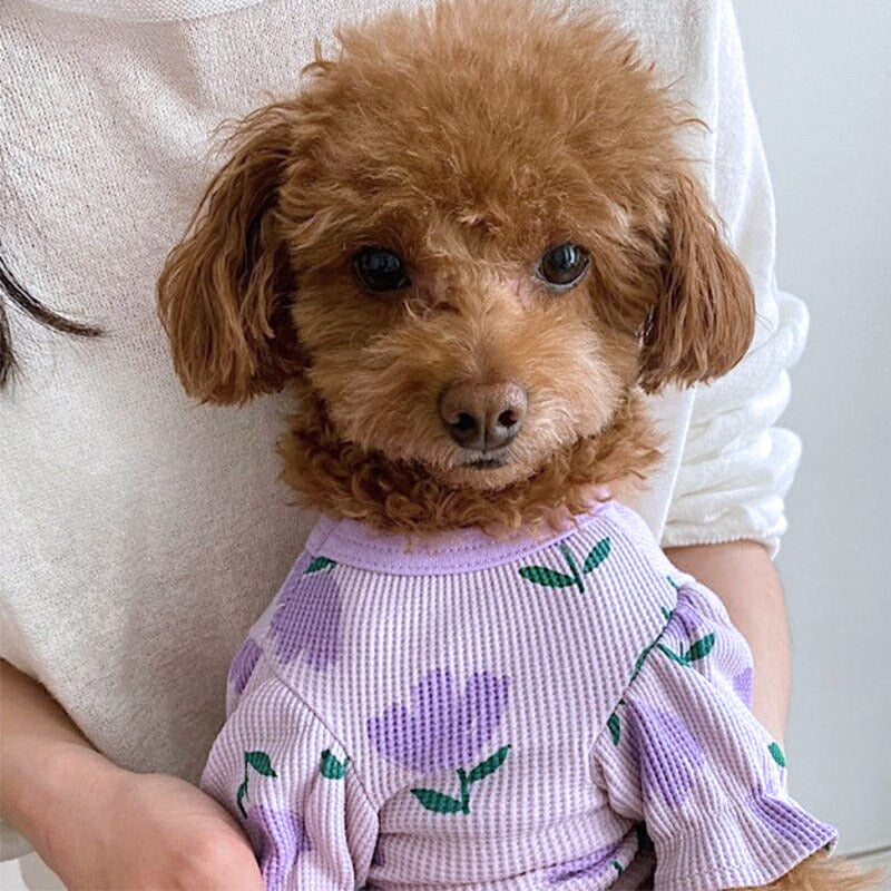 【犬服 犬 服 犬の服 春服 夏服用】《名入れ可能》チューリップシャツ【花柄 パフスリーブ 女の子 フリルドッグ ペット ウェア ダックス トイプードル チワワ タムベディ シーズー】[CN]