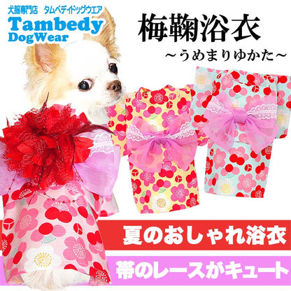 【犬 浴衣 夏服用】《名入れ可能》《コサージュ別売》梅鞠（うめまり）★ゆかた(浴衣)【ドッグウェア ペット 着物 和柄 お祭り チワワ ダックス トイプードル タムベディ かわいい ヨーキー】