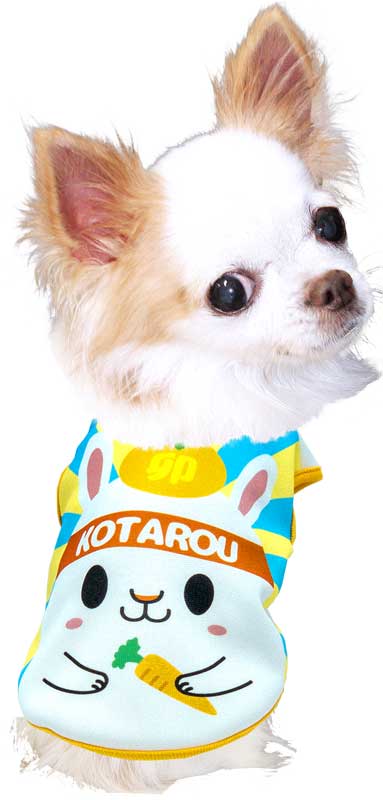 【犬服 犬 服 犬の服 名入れ 秋服 冬服用】愛犬のお名前入り うさちゃんシャツ【干支 年賀状 うさぎ お正月ドッグ ペット ウェア ダックス トイプードル チワワ タムベディおもしろい】(S/3/N/H/)