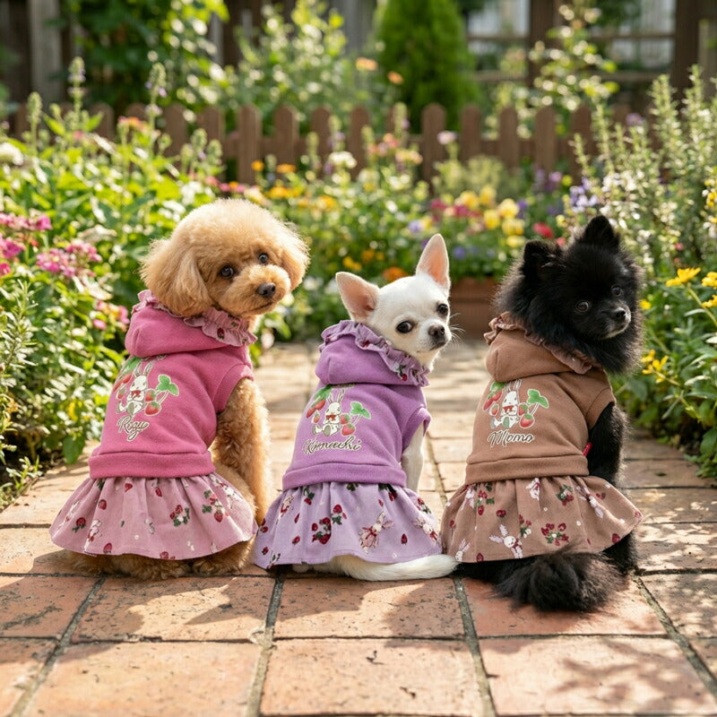 【犬服 犬 服 犬の服 名入れ 秋服 冬服用】愛犬のお名前入り うさぎとイチゴのコーデュロイワンピース【フリルストロベリートレーナードッグ ペット ウェア ダックス トイプードル チワワ タムベディおしゃれ ポメ】(L/)
