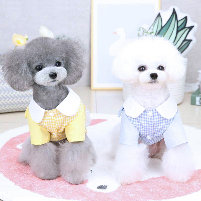 【犬 夏服 犬の服 春服用】うさちゃんポケットシャツ【ドッグウェア うさぎ チェック 襟付き 袖あり ドッグ ペット ダックス トイプードル チワワ タムベディかわいい パグ】[CN][GI]