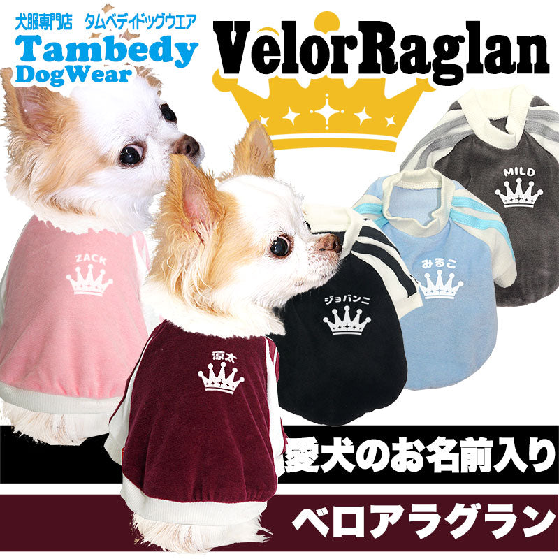 【犬服 犬 服 犬の服 名入れ】愛犬のお名前入り ベロアラグラン【ドッグウェア ペット クラウン トイプードル チワワ ダックス おしゃれ パグ タムベディ】(O/F/RA/L/)