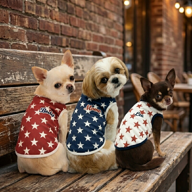 【犬服 犬 服 犬の服 秋服 冬服用】愛犬のお名前入り ビンテージスター【星柄 レトロ 日本製 トレーナー ドッグ ペット ウェア ダックス トイプードル チワワ タムベディ かっこいい パグ】(S/3/N/H/)