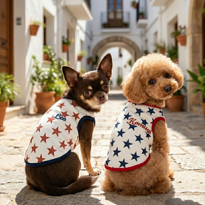 【犬服 犬 服 犬の服 秋服 冬服用】愛犬のお名前入り ビンテージスター【星柄 レトロ 日本製 トレーナー ドッグ ペット ウェア ダックス トイプードル チワワ タムベディ かっこいい パグ】(S/3/N/H/)