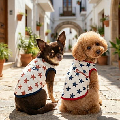 【犬服 犬 服 犬の服 秋服 冬服用】愛犬のお名前入り ビンテージスター【星柄 レトロ 日本製 トレーナー ドッグ ペット ウェア ダックス トイプードル チワワ タムベディ かっこいい パグ】(S/3/N/H/)