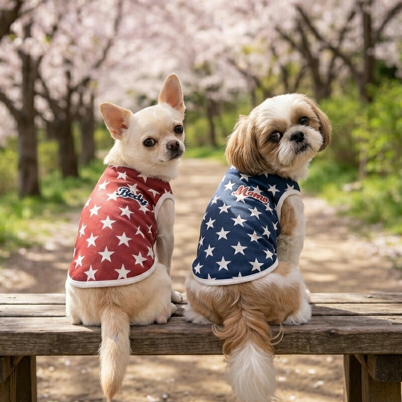 【犬服 犬 服 犬の服 秋服 冬服用】愛犬のお名前入り ビンテージスター【星柄 レトロ 日本製 トレーナー ドッグ ペット ウェア ダックス トイプードル チワワ タムベディ かっこいい パグ】(S/3/N/H/)