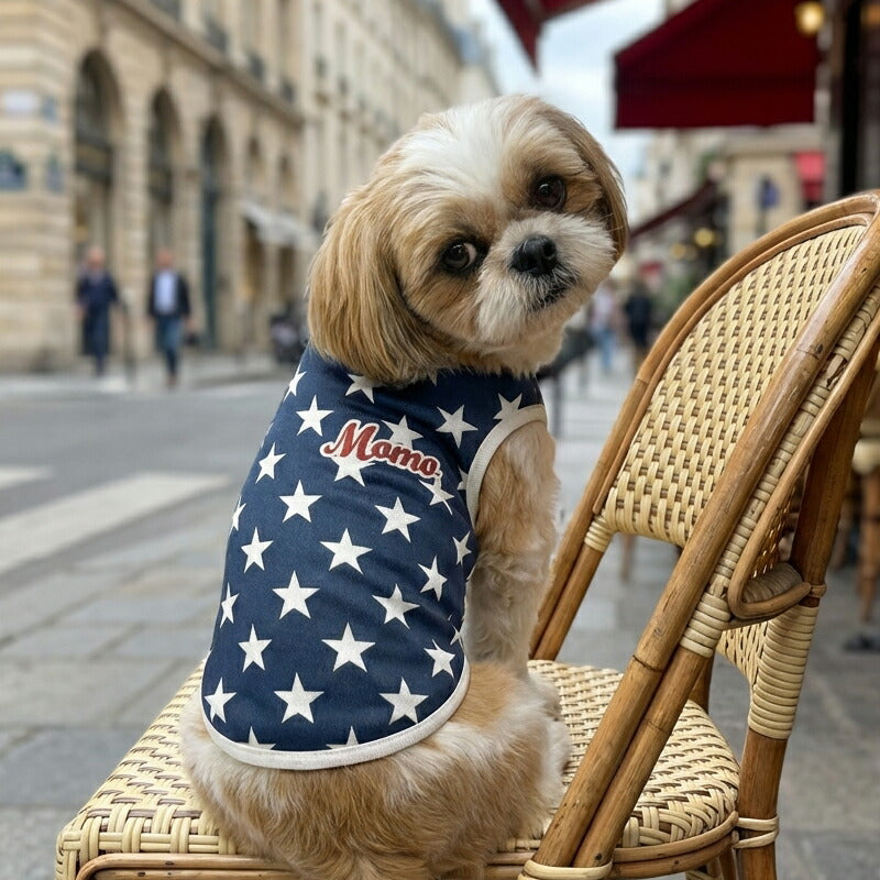 【犬服 犬 服 犬の服 秋服 冬服用】愛犬のお名前入り ビンテージスター【星柄 レトロ 日本製 トレーナー ドッグ ペット ウェア ダックス トイプードル チワワ タムベディ かっこいい パグ】(S/3/N/H/)
