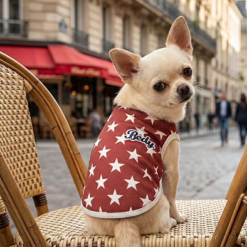 【犬服 犬 服 犬の服 秋服 冬服用】愛犬のお名前入り ビンテージスター【星柄 レトロ 日本製 トレーナー ドッグ ペット ウェア ダックス トイプードル チワワ タムベディ かっこいい パグ】(S/3/N/H/)