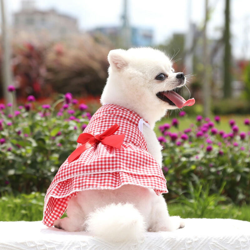 【犬 夏服 犬の服 春服用】ウエストリボンワンピース【ドッグウェア 前開き ボタン チェック フリル ペット アウトレット ダックス トイプードル チワワ タムベディ シーズー】[CN][GI]