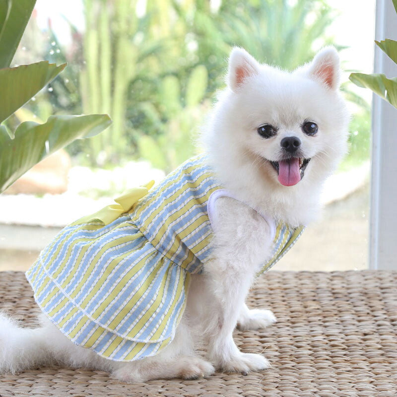 【犬 夏服 犬の服 春服用】ウエストリボンワンピース【ドッグウェア 前開き ボタン チェック フリル ペット アウトレット ダックス トイプードル チワワ タムベディ シーズー】[CN][GI]