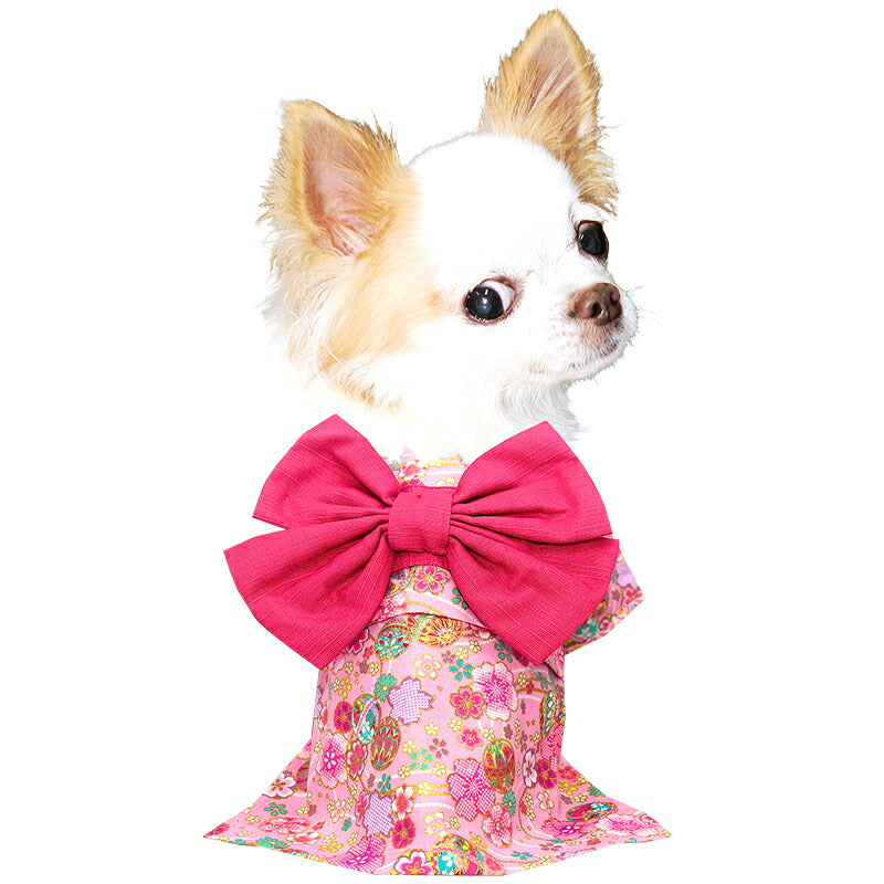 【犬服 犬 服 犬の服 秋服 冬服用】艶やか晴れ着 若菜(わかな)着物《名入れ可能》《コサージュ別売》【和柄 正月 年賀状 初詣 花柄 日本製ドッグ ペット ウェア ダックス トイプードル チワワ タムベディ】