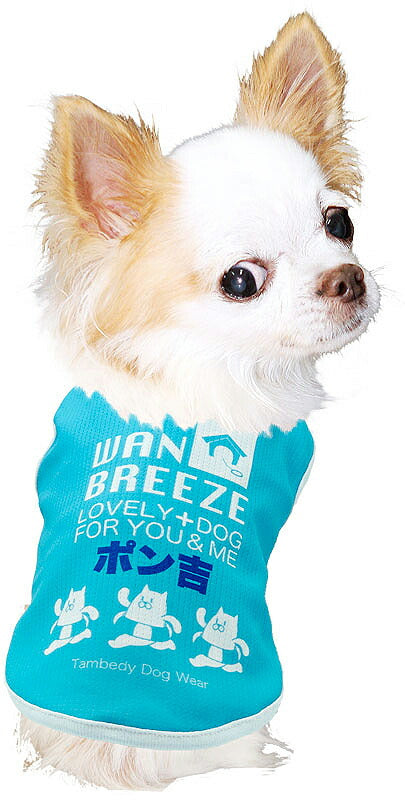【犬 夏服 犬の服 名入れ 春服用】ひんやり 接触冷感素材 クール 愛犬のお名前入りワンブリーズシャツ【ドッグウェア トイプードル チワワ おもしろ パグ 暑さ対策 熱中症対策 タムベディ】(S/B/N/H/)