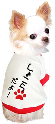 【犬服 犬 服 秋冬 犬の服 ドッグウェア 名入れ】愛犬のお名前入り わんこだよ【なぐりがき ダックス トイプードル チワワ おもしろ パグ タムベディ】(O/3/RI/H/)