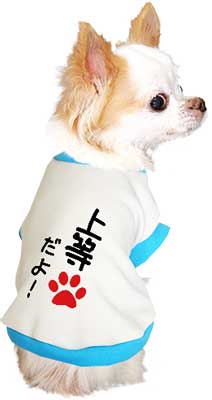 【犬服 犬 服 秋冬 犬の服 ドッグウェア 名入れ】愛犬のお名前入り わんこだよ【なぐりがき ダックス トイプードル チワワ おもしろ パグ タムベディ】(O/3/RI/H/)