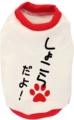 【犬服 犬 服 秋冬 犬の服 ドッグウェア 名入れ】愛犬のお名前入り わんこだよ 中型犬用【なぐりがき ダックス トイプードル チワワ おもしろ パグ タムベディ】(O/3/RI/H/)
