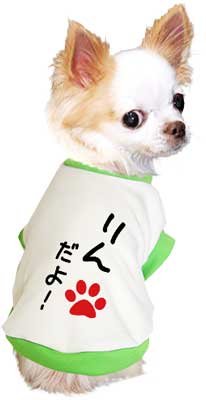 【犬服 犬 服 秋冬 犬の服 ドッグウェア 名入れ】愛犬のお名前入り わんこだよ【なぐりがき ダックス トイプードル チワワ おもしろ パグ タムベディ】(O/3/RI/H/)