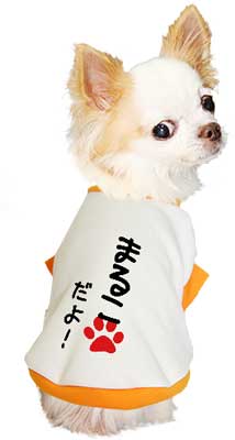 【犬服 犬 服 秋冬 犬の服 ドッグウェア 名入れ】愛犬のお名前入り わんこだよ【なぐりがき ダックス トイプードル チワワ おもしろ パグ タムベディ】(O/3/RI/H/)