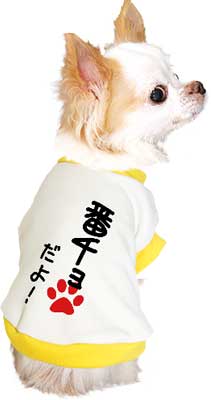 【犬服 犬 服 秋冬 犬の服 ドッグウェア 名入れ】愛犬のお名前入り わんこだよ【なぐりがき ダックス トイプードル チワワ おもしろ パグ タムベディ】(O/3/RI/H/)