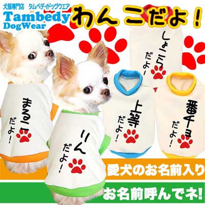 【犬服 犬 服 秋冬 犬の服 ドッグウェア 名入れ】愛犬のお名前入り わんこだよ 中型犬用【なぐりがき ダックス トイプードル チワワ おもしろ パグ タムベディ】(O/3/RI/H/)